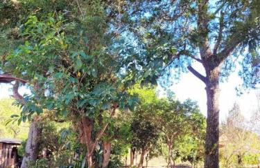 Casa da Vó Hospedagem Afetiva - Foto 54