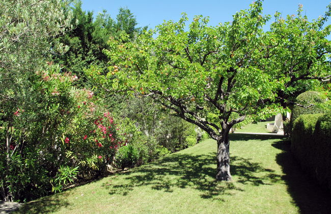 3 bedroom House in Vinsobres with private pool and garden - Photo 24