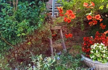 La maisonnette en bois - Photo 6