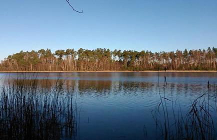 "Ferien Nord-Nordost" Wooster Teerofen "Am Walde" Haupthaus - Foto 12
