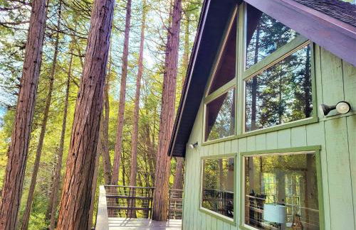 Trout River Cabin - Cozy Quiet Peaceful Retreat - Foto 12