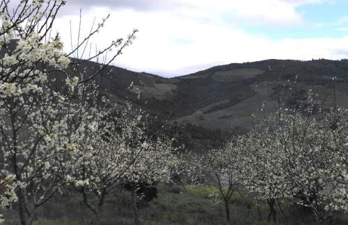 Apartamentos Rurales Tierras de Granadilla - Foto 27