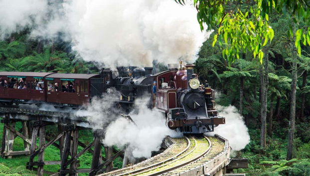 Escursione al Santuario di Healesville + Treno Puffing Billy - Foto 4