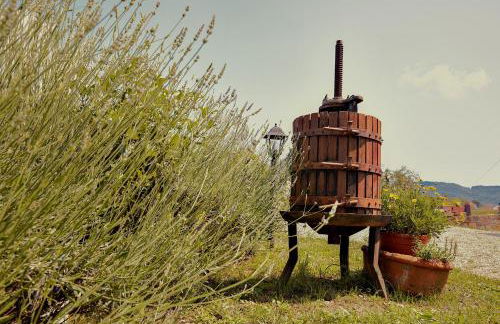 Tenuta il Poggetto - Foto 25