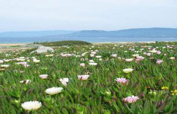 Villa vue mer 400m plages et commerces calme confort pour 6 à 8 personnes soins de remise en forme possible - Foto 10