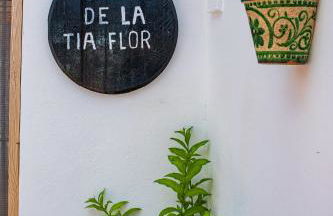 Cueva de la tía Flor - Foto 31