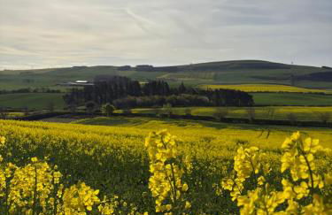 Stewards Cottage - Foto 9