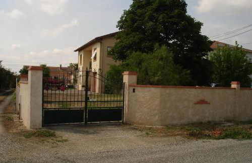 Les hortensias - Foto 1