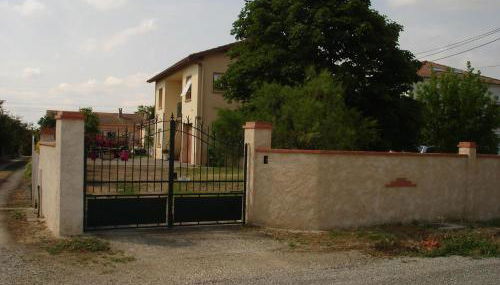 Les hortensias - Foto 1