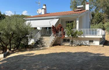 Villa Helga by the Sea - Photo 15