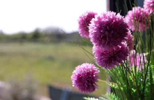 Villa Niko PET FRIENDLY 200 M FROM HIDDEN SANDY BEACH pets stays for free - Photo 59