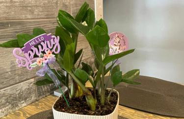 Business Flat Stavroupoli - Foto 46