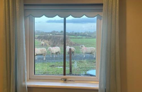 The Bungalow - Photo 47