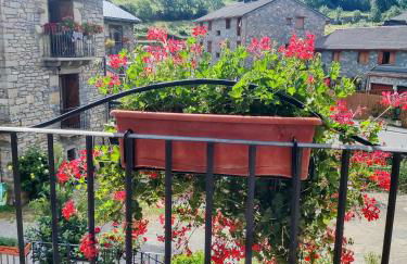 Apart. Casa Juaneta Pirineo-Ordesa - Photo 15