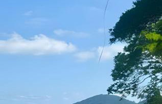 Entre 3 Praias: Santa Rita, Enseada, Perequê Mirim - Foto 39