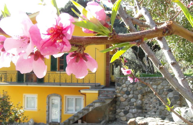 Agriturismo Costa di Campo - Foto 37