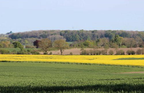 Ferienwohnung Heimathafen - Foto 52