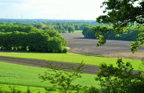 Willi Ohler Haus - Foto 69