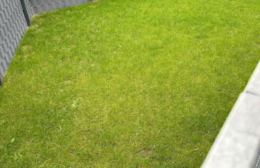 FeWo WILL travel and relax - Foto 23