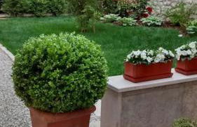 Palazzo Policreti Negrelli Aviano - Foto 7