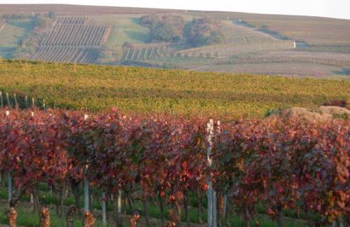 Ferienwohnung Weingut Kost - Foto 37