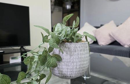 FM Homes & Apartments 3 Bedroom House Motherwell - Foto 1