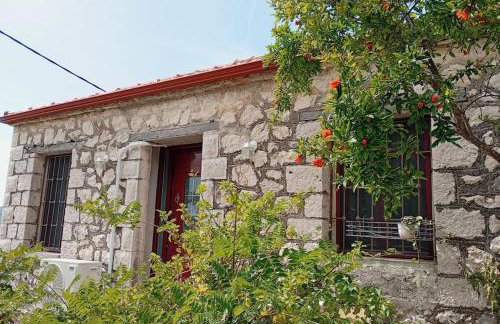 Mojo Art House - Foto 29