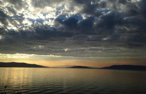 Charming and Cozy Private Home Walking Distance to Downtown - Foto 29