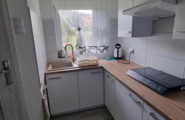 Domki Boszkowo-Dominice Bliźniak 2 apartamenty - Foto 19