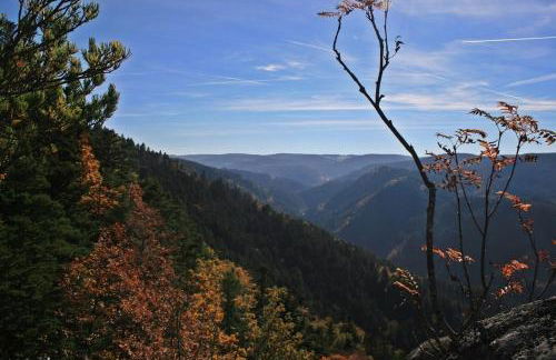 Haus am Waldrand - Foto 17