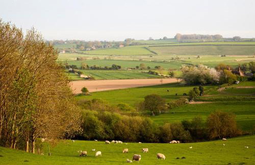 Extraordinary Huts Ltd - Photo 57