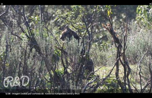 La Isabelita - Foto 32