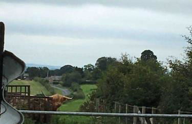 OLD CHAPEL Hayton Cumbria CA89HR - Foto 57