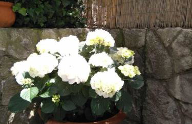 House by the sea - Foto 35