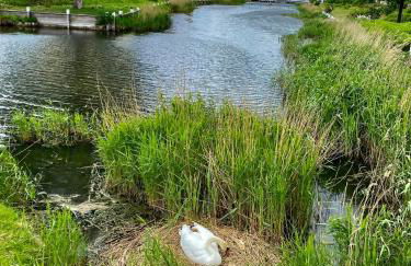 Reethus Linda - Foto 65