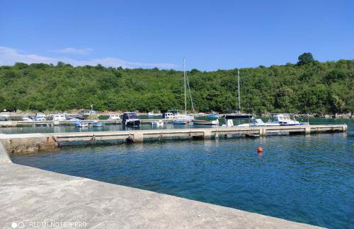 Apartman Vito - Foto 24