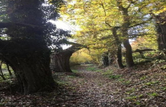 Walk to Pointe du Raz & Beach - Foto 19