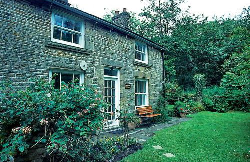 Drum And Monkey Cottage - Photo 9