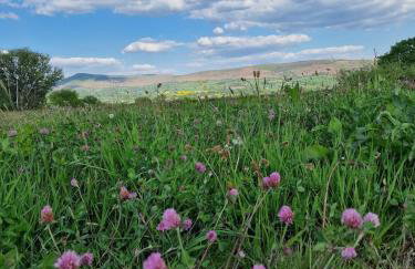 Long Meadow Shepherd Hut - Brecon Beacons, LD3 7TD - Foto 10