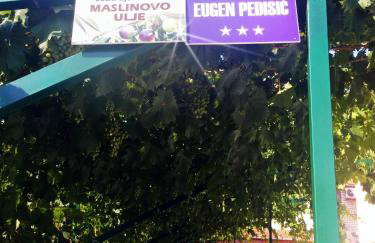 Apartments Eugen Pedisić - Photo 6