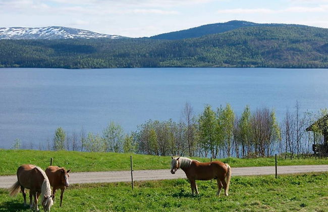 6 Person Holiday Home in Nordli-by Traum - Foto 23