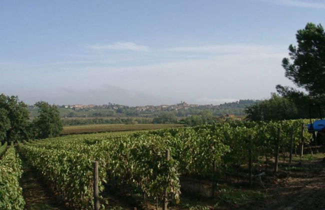 Belvilla by OYO L'angolo - Foto 26