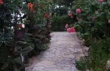 Bousounis Apartments - Foto 73