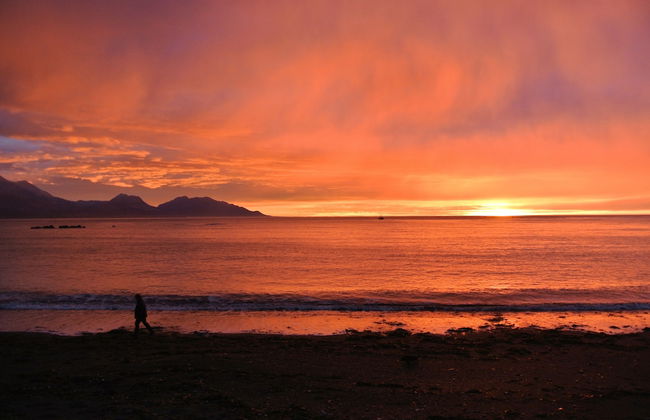 Blue Seas Motel - Foto 24