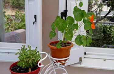 Andros Lighthouse Apartments - Foto 1