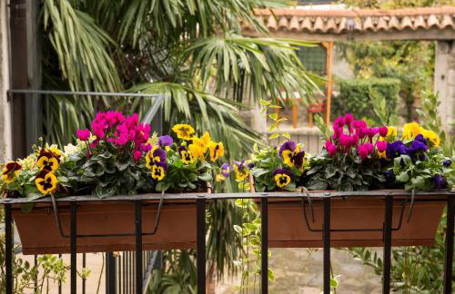 Apartments Roža - Foto 14