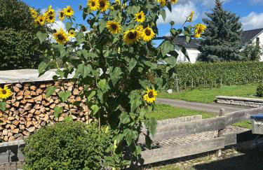 Ferienwohnungen Forneck - Foto 23