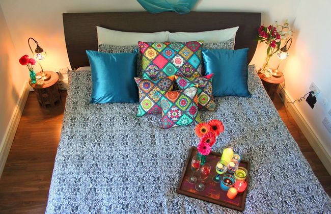 Maltese Maltese - Foto 30