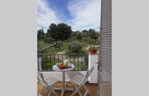 CampoParaíso Jaén-Casa Rural - Foto 20