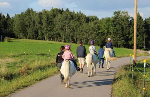 Ponyhof Adam Urlaub auf dem Bauernhof - Foto 6